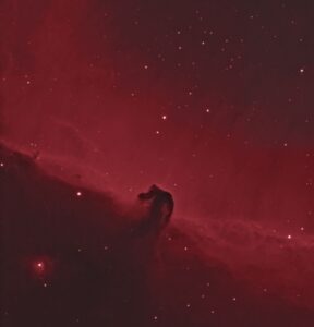 Dennis Wilde Horsehead Nebula