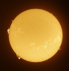 Knox Worde the Sun in Ha