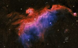 Seagull Nebula Rob Calfee