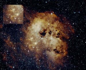 Tadpole Nebula David Johnston