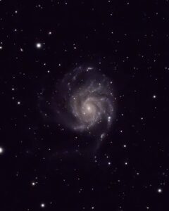 David Krause Pinwheel Galaxy Supernova