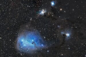 Tom Engwall IC 2169