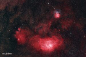 Lagoon and Trifid David Krause