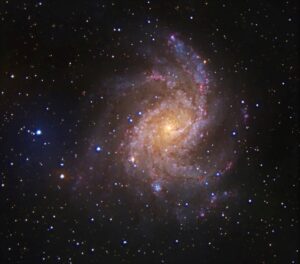 The Fireworks Galaxy Vince Castello