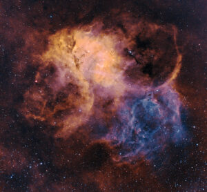 Tommy Wilkinson Lion Nebula