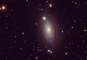 Sunflower Galaxy Tommy Wilkinson