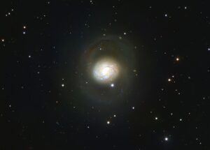Vince Castello M77
