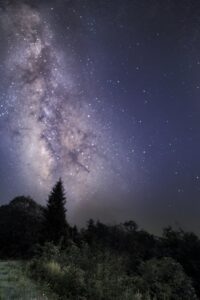 Tommy Wilkinson Evergreen and Milky Way