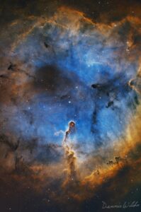 Dennis Wilde Elephant Trunk Nebula