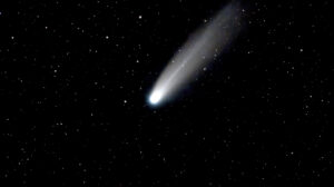 Penny White Comet Lemmon