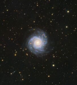 Vince Castello Phantom Galaxy