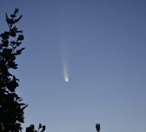 Comet NEOWISE Richard Reynolds