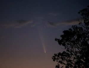Comet C/2023 A3 (Tsuchinshan-ATLAS Vince Castello