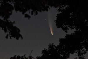 Comet NEOWISE Vince Castello.