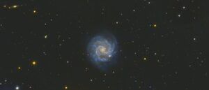 Vince Castello Little Pinwheel