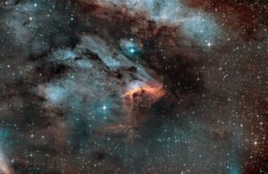 Tommy Wilkinson Pelican Nebula