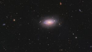 Vince Castello Sunflower Galaxy
