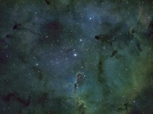 Levin Green Elephant’s Trunk Nebula