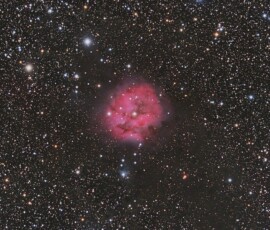 Cocoon Nebula in the constellation Cygnus. Photo by club member Knox Worde at the October, 2019 Staunton River Star Party.