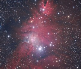Knox Worde Christmas Tree nebula