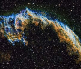 Tom Engwall Eastern Veil