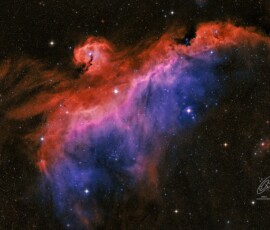 Seagull Nebula Rob Calfee