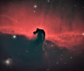 Vince Castello Horsehead Nebula
