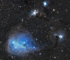 Tom Engwall IC 2169
