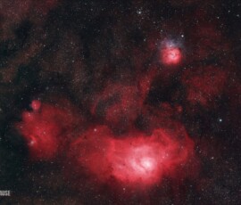 Lagoon and Trifid David Krause