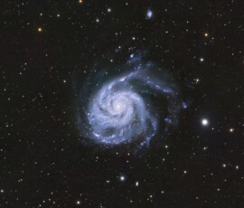 Tom Engwall M101 Pinwheel Galaxy