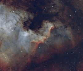 North America Nebula Tommy Wilkinson