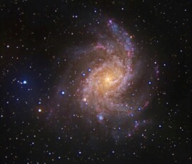 The Fireworks Galaxy Vince Castello