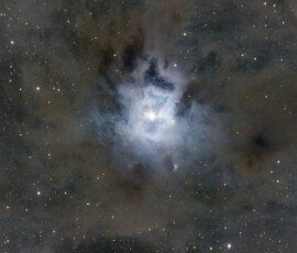 Iris Nebula Tommy Wilkinson