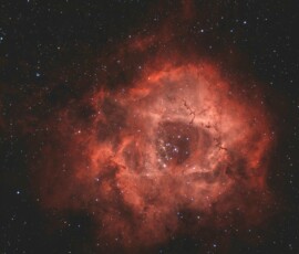 Vince Castello Rosette Nebula