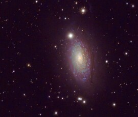 Sunflower Galaxy Tommy Wilkinson