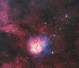 Trifid Nebula Tommy Wilkinson