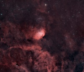 Tommy Wilkinson Tulip Nebula