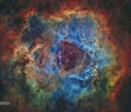 Rosette Nebula David Krause