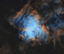 Tom Engwall NGC 1491
