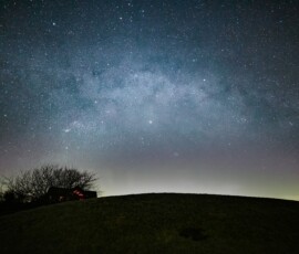 GMO MilkyWay WSW Tommy Wilkinson