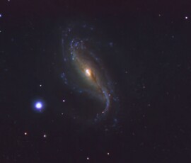 NGC 613 Vince Castello