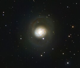 Vince Castello M77