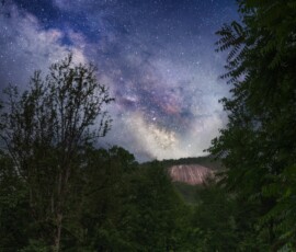 Tommy Wilkinson John Rock Milky Way