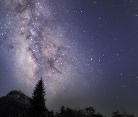 Tommy Wilkinson Evergreen and Milky Way