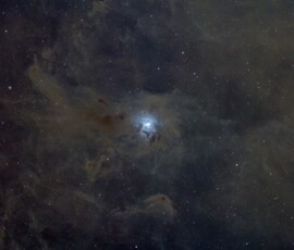 Shaun Finney Iris Nebula