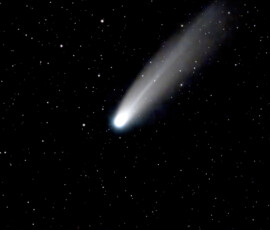 Penny White Comet Lemmon