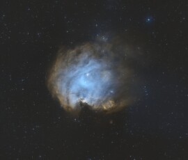 NGC 2174 (also known as the Monkey Head Nebula) is an emission nebula, an active star forming region mostly composed of hydrogen gas. It's located about 6400 light years away in the Orion constellation. Photo by club member Adam Parsons. NGC 2174 - The Monkey Head Nebula Adam Parsons
