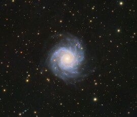 Vince Castello Phantom Galaxy