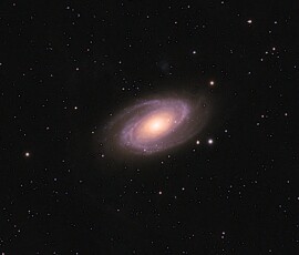 Matthew Murphy Bodes Galaxy
