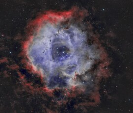 Tommy Wilkinson Rosette Nebula